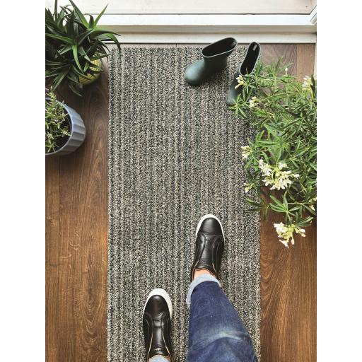 50x150 Candy Sage L2.jpg