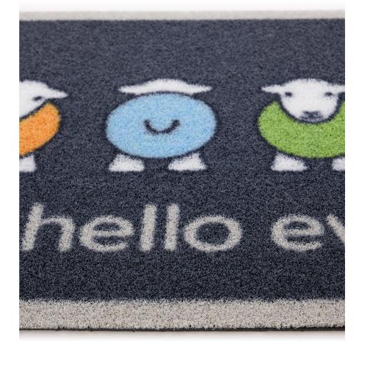 Hello Ewe Outdoor D_01.jpg