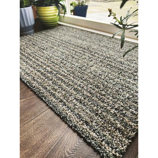 50x75 Candy Sage L2.jpg