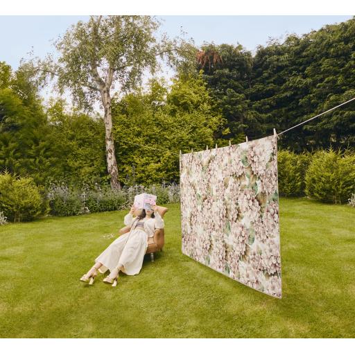 Wild Hydrangea L1.jpg