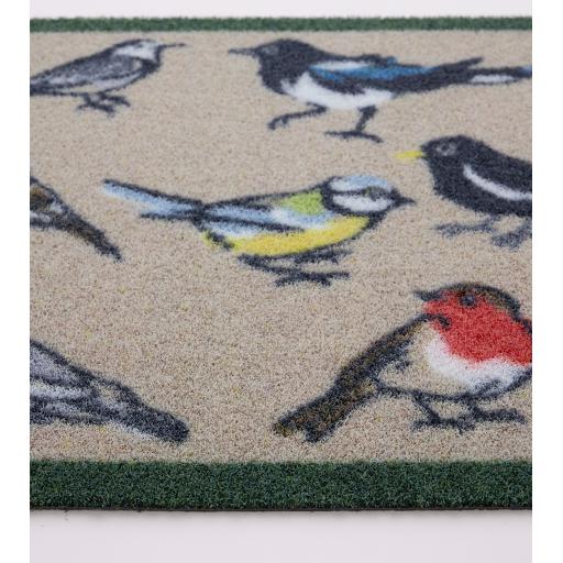 Bird Watcher Outdoor D_01.jpg