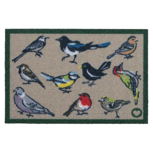 Bird Watcher Outdoor OH_01.jpg