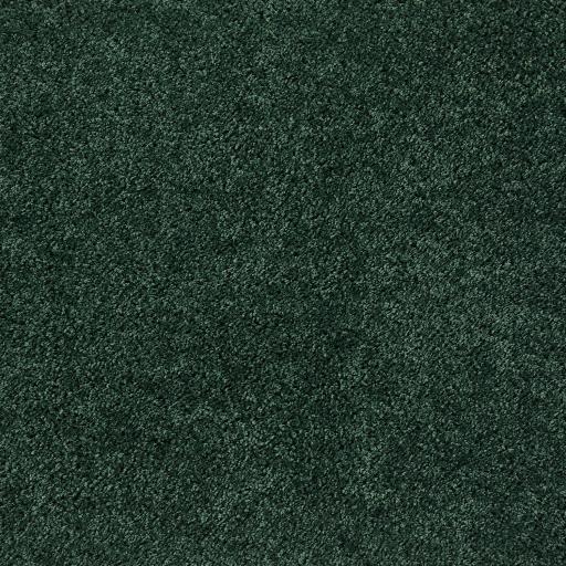 MyRugForestGreen-D2_62004f54-193b-47be-97be-5f38b18886fb.jpg