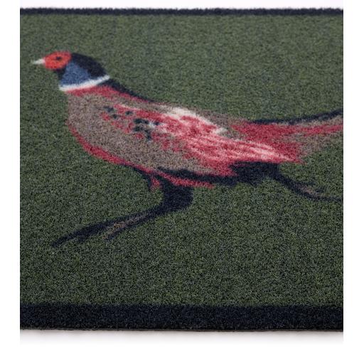 Pheasant Green 2 Outdoor D_01.jpg