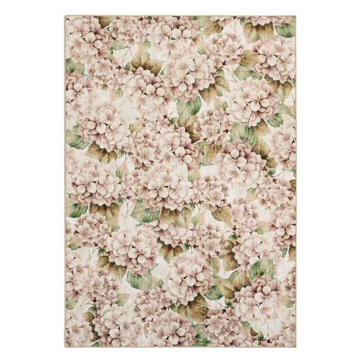 Wild Hydrangea OH 160x230.jpg