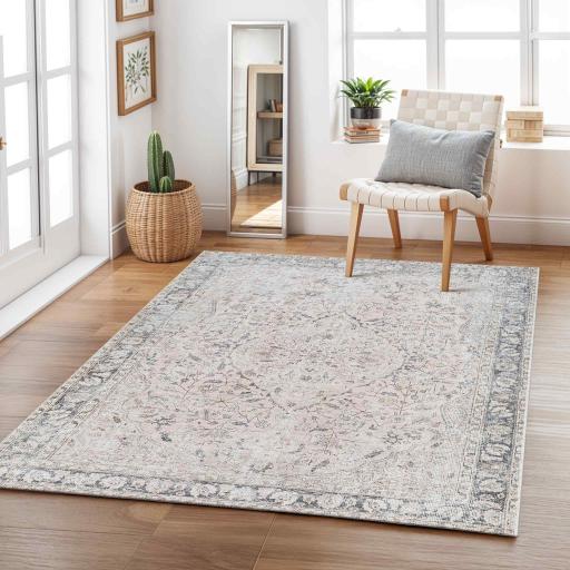 Amelie AML2386 Machine Washable Traditional Bordered Vintage Area Grey Rug