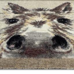 My-Donkey-Doormat-50x75-Detail_01_2048x.jpg
