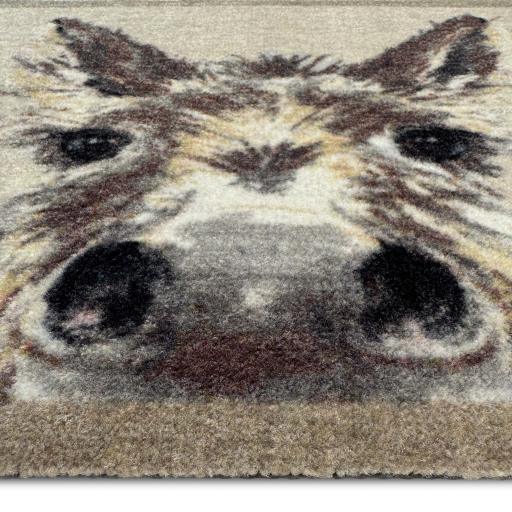 My-Donkey-Doormat-50x75-Detail_01_2048x.jpg