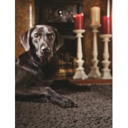 Union Chocolate L1.jpg