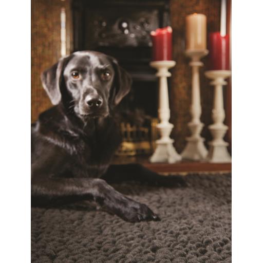 Union Chocolate L1.jpg