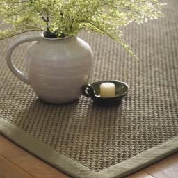 Sisal-Sage-Green-Sage-Green-Border-Rug-Detail_01_2048x.jpg