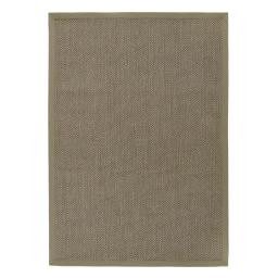 Sisal-Sage-Green-Border-Rug-Overhead.jpg