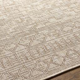 trg2354-texture.jpg