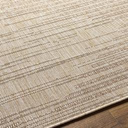 trg2359-texture.jpg