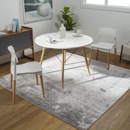 wnl2310Square-roomscene_201.jpg