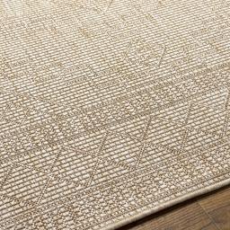 trg2355-texture.jpg