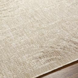 trg2384-texture.jpg