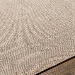 trg2369-texture.jpg