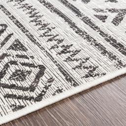 eag2347-texture.jpg
