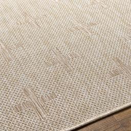 trg2357-texture.jpg