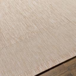 trg2368-texture.jpg