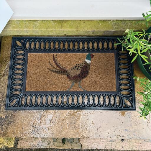 Pheasant_L1_53x23_2ee7f535-bb1d-48f6-a963-5899598b7518.jpg
