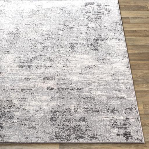 wnl2310-front.jpg