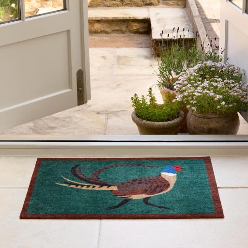 Pheasant-Green-Mat-Doorway-Lifestyle.jpg