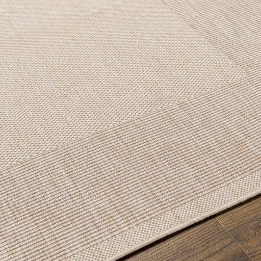 trg2365-texture.jpg