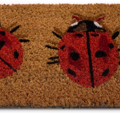LadyBirdsInsertD_01_2048x.jpg