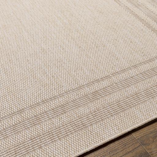 trg2372-texture.jpg