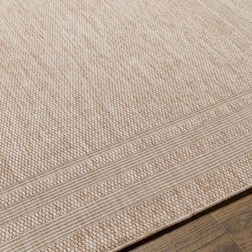 trg2369-texture.jpg