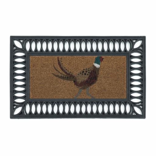 PheasantwithCastleSurround.jpg