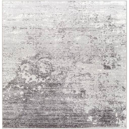 wnl2310-67sq.jpg