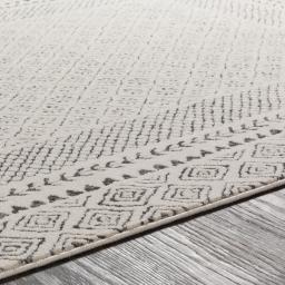 bhr2321-texture.jpg