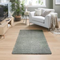 GreenFleckL1100x150.jpg