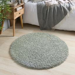 GreenFleckL1circle_2048x.jpg