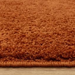 super_snug_washable_rug_rust_5_2048x.jpg