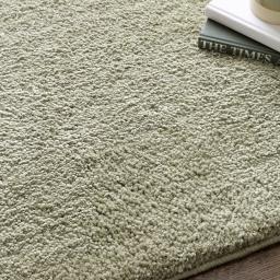 super_snug_washable_rug_sage_cl_new_sq_2048x.jpg