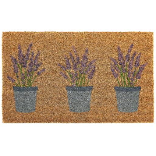 LavenderOH_2048x.jpg