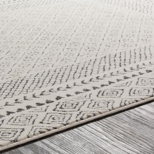 bhr2321-texture.jpg