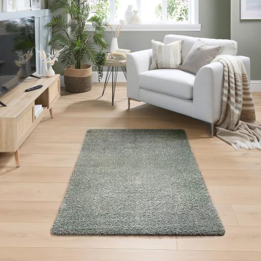 GreenFleckL1100x150.jpg