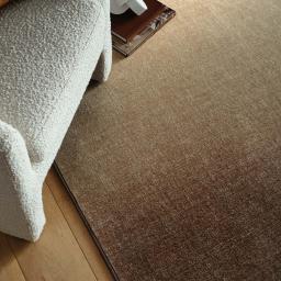 Horizon-Brown-Ombre-Rug-Detail_01_2048x.jpg