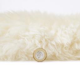Sheepskin coin.jpg