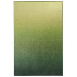 Horizon-Celery-Ombre-Rug-Overhead_1269cd2c-7318-4add-9786-602758e0bb38.jpg