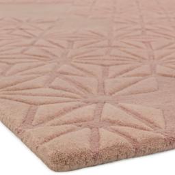 starburst_pink_sq_4.jpg