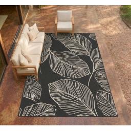 LEAF BLACK ROOM.jpg