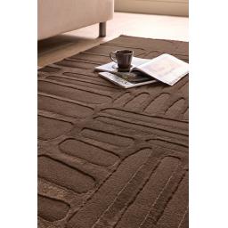 Pathway Chocolate Rug 160x230 D_02.jpg