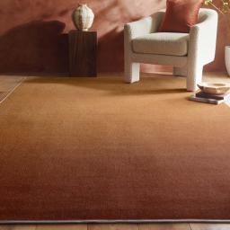 Horizon-Coral-Ombre-Rug-Lifestyle_01_1e08279b-34c6-4310-9b34-c122292c5a4e.jpg