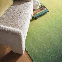 Horizon-Celery-Ombre-Rug-Detail_01_2048x.jpg